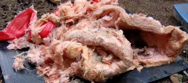 Damp-Insulation-